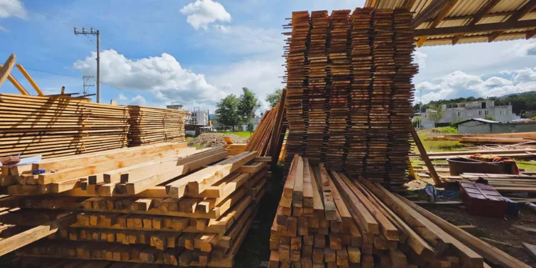 Personal de la Profepa localizó 2,416 piezas de madera labrada de pino, entre tablas, barrotes, polines y vigas.