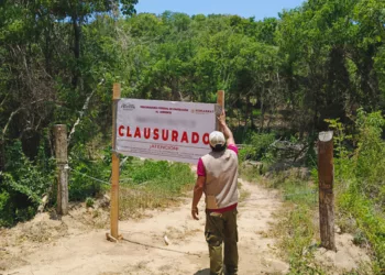 Se detectaron obras de cambio de uso de suelo en una zona con vegetación forestal de selva baja caducifolia.