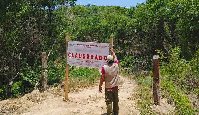 Se detectaron obras de cambio de uso de suelo en una zona con vegetación forestal de selva baja caducifolia.