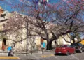 Foto: Archivo El Imparcial // Sitio WEB de difusión turística reconoció al barrio mágico de Jalatlaco.