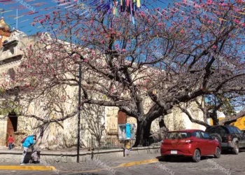 Foto: Archivo El Imparcial // Sitio WEB de difusión turística reconoció al barrio mágico de Jalatlaco.