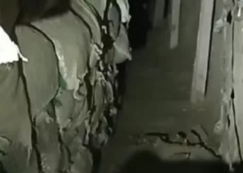 Descubren “huachitúnel” de 50 metros en Guanajuato; estaba conectado a ducto activo de Pemex
