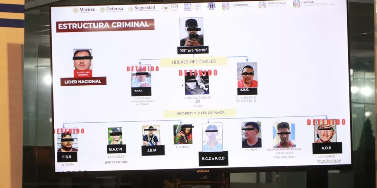 Detiene FGEO autor material de asesinato de expresidente municipal de San Juan Cacahuatepec