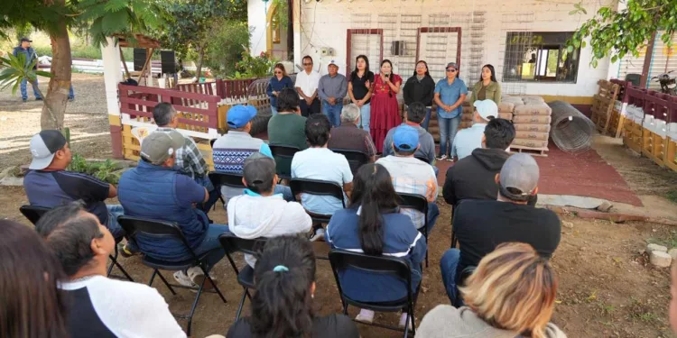 Ciudadanía y Ayuntamiento colaboran por una movilidad segura en Xoxocotlán
