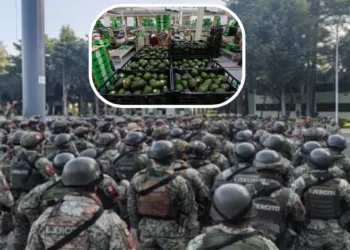 ¡México blinda el “oro verde”! Despliegan más de mil 500 militares en Michoacán tras golpe de EU al aguacate