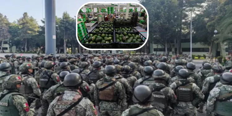 ¡México blinda el “oro verde”! Despliegan más de mil 500 militares en Michoacán tras golpe de EU al aguacate