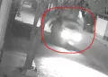 VIDEO | Muere Don Francisco y se complica la situación legal del mototaxista prófugo