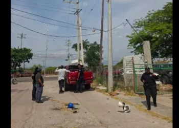 Trabajo en altura termina en caída de cinco metros: trabajador de CFE queda grave en Ixtepec