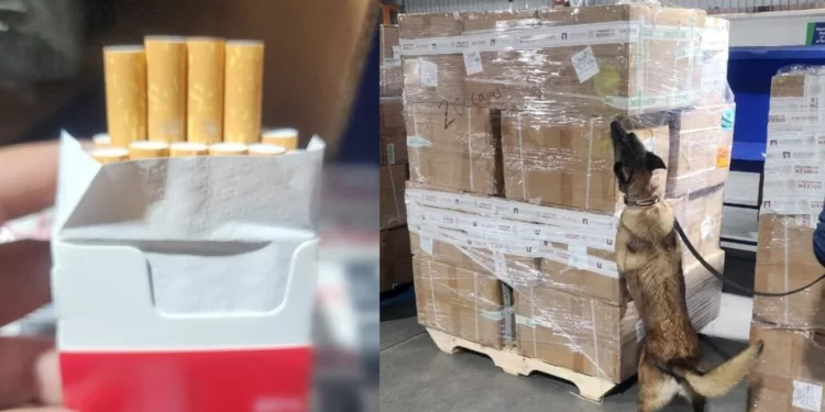 Aseguran más de 2 millones de cigarros apócrifos en la aduana del AICM procedentes de Tailandia
