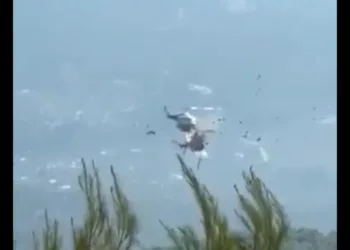 VIDEO ¡Drama en el cielo de Grecia! Dos helicópteros antincendios chocan en pleno operativo contra las llamas