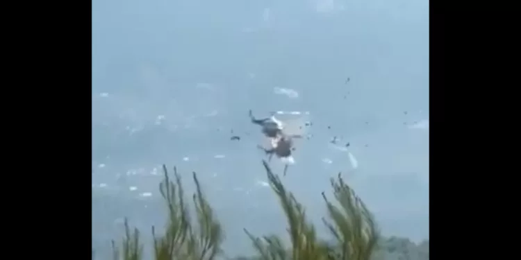 VIDEO ¡Drama en el cielo de Grecia! Dos helicópteros antincendios chocan en pleno operativo contra las llamas