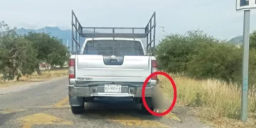 VIDEO | ¡Indignación en Oaxaca! Denuncian a camioneta por llevar a un perrito colgando en carretera