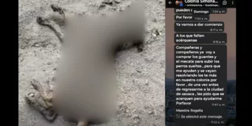 ¡Arde el caso en Juchitán! Denuncias por perros presuntamente envenenados desatan acusaciones y reclamos por pruebas