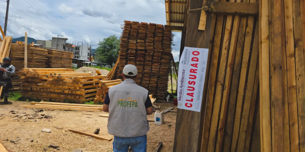 Madera bajo sellos rotos: destapan CAT clandestino y aseguran casi 45 m³ en Tlaxiaco