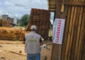 Madera bajo sellos rotos: destapan CAT clandestino y aseguran casi 45 m³ en Tlaxiaco