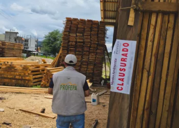 Madera bajo sellos rotos: destapan CAT clandestino y aseguran casi 45 m³ en Tlaxiaco