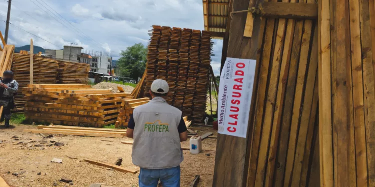 Madera bajo sellos rotos: destapan CAT clandestino y aseguran casi 45 m³ en Tlaxiaco
