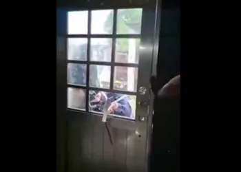 ¡Cerco total por Roxana! Cae “El Búho” y ya son 9 los detenidos por el crimen de la periodista