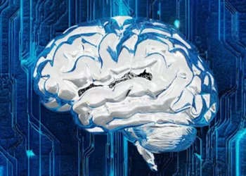 El cerebro humano y la mecánica de los juegos de casino