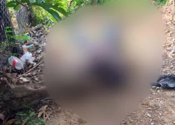 Hermanos son asesinados a balazos en Santo Domingo Petapa