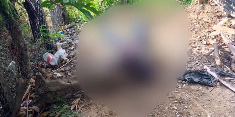 Hermanos son asesinados a balazos en Santo Domingo Petapa
