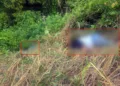 Los hombres salieron proyectados hacia los matorrales tras perder el control de su unidad e impactarse contra un objeto fijo en jurisdicción de San Felipe Jalapa de Díaz.