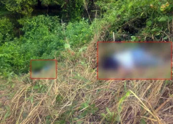 Los hombres salieron proyectados hacia los matorrales tras perder el control de su unidad e impactarse contra un objeto fijo en jurisdicción de San Felipe Jalapa de Díaz.