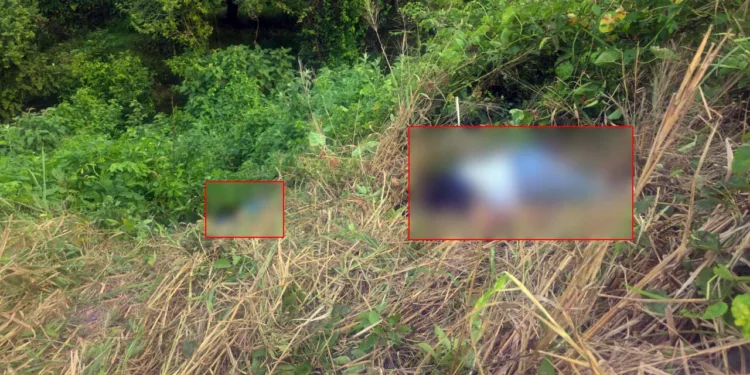 Los hombres salieron proyectados hacia los matorrales tras perder el control de su unidad e impactarse contra un objeto fijo en jurisdicción de San Felipe Jalapa de Díaz.
