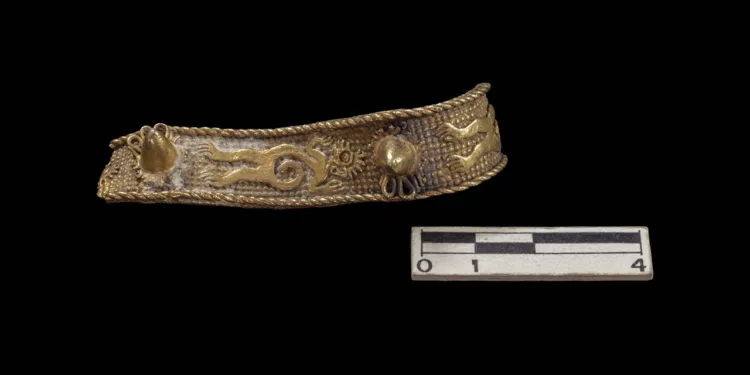 Se trata de un fragmento de brazalete de aproximadamente ocho centímetros de largo y casi dos de ancho, con una superficie ondulada y curvada.