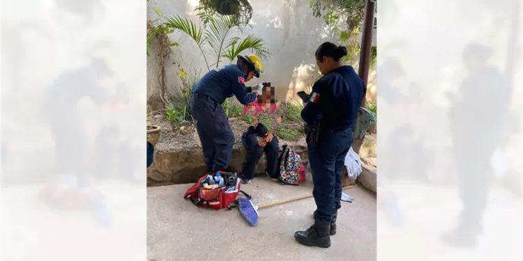 Paramédicos estabilizaron y trasladaron a la joven a un nosocomio tras sufrir una severa herida en el cráneo.