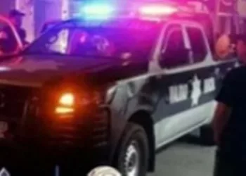 El vehículo Chevrolet Aveo modelo 2025 resultó con la fascia destrozada tras embestir al Pitbull.