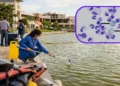 Confirman la “ameba comecerebros” en lago de Mérida tras muerte de instructor acuático