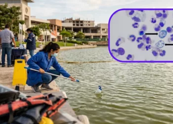 Confirman la “ameba comecerebros” en lago de Mérida tras muerte de instructor acuático