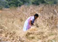 La Conagua detalló que Oaxaca registra afectaciones en el 65.6 por ciento de su territorio