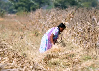 La Conagua detalló que Oaxaca registra afectaciones en el 65.6 por ciento de su territorio