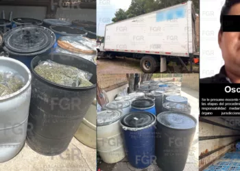 Aseguran casi 1.8 toneladas de presunta marihuana en el Istmo