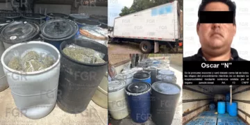 Aseguran casi 1.8 toneladas de presunta marihuana en el Istmo