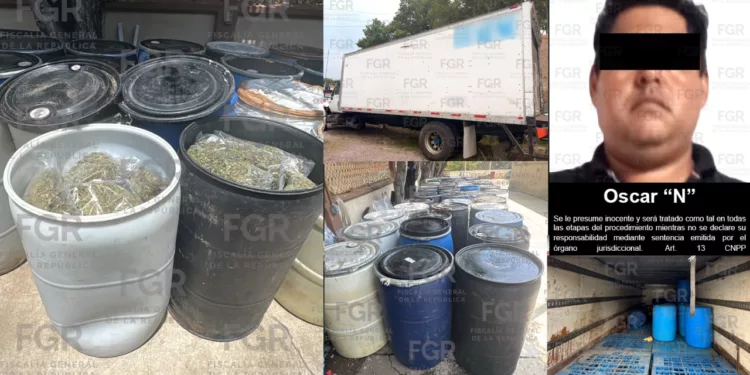 Aseguran casi 1.8 toneladas de presunta marihuana en el Istmo