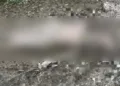 Autoridades acordonaron el paraje en el Sendero a Juárez tras el hallazgo del cuerpo de un hombre de aproximadamente 45 años golpeado de muerte.
