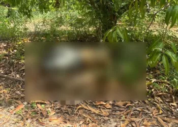 Autoridades ministeriales y agentes de investigación criminal ordenaron el traslado del cuerpo al anfiteatro de Puerto Escondido.