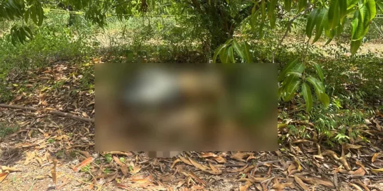 Autoridades ministeriales y agentes de investigación criminal ordenaron el traslado del cuerpo al anfiteatro de Puerto Escondido.