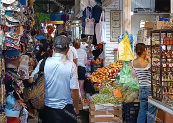 Fotos: Lisbeth Mejía Reyes // Buscan actualizar el padrón de contribuyentes de mercados de la ciudad.