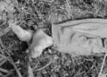 Corporaciones policiales acudieron al paraje “La China”, para realizar el levantamiento del cadáver de un hombre que presentaba huellas de violencia.