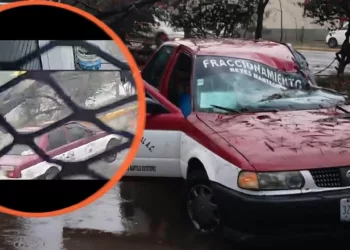 VIDEO | ¡Sobreviven de milagro! Árbol colapsa y aplasta a taxi en la Avenida Símbolos Patrios
