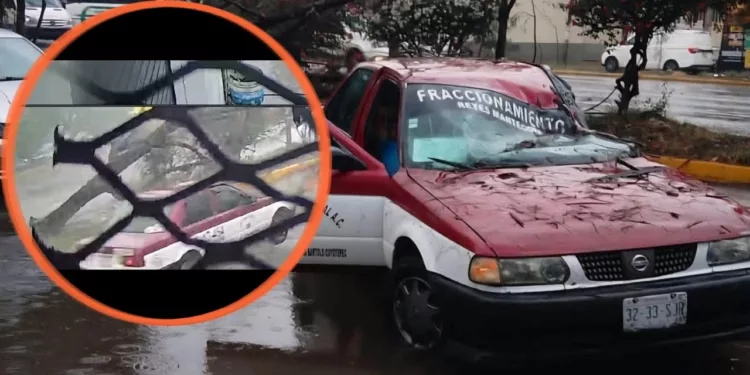VIDEO | ¡Sobreviven de milagro! Árbol colapsa y aplasta a taxi en la Avenida Símbolos Patrios