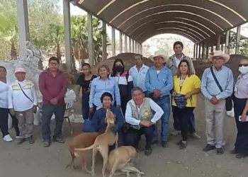 El Gobierno Municipal cuenta actualmente con un albergue temporal para animales de compañía.