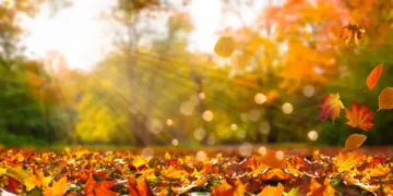 Equinoccio de otoño 2026 en México: ¿A qué hora entra y por qué los días serán más cortos?