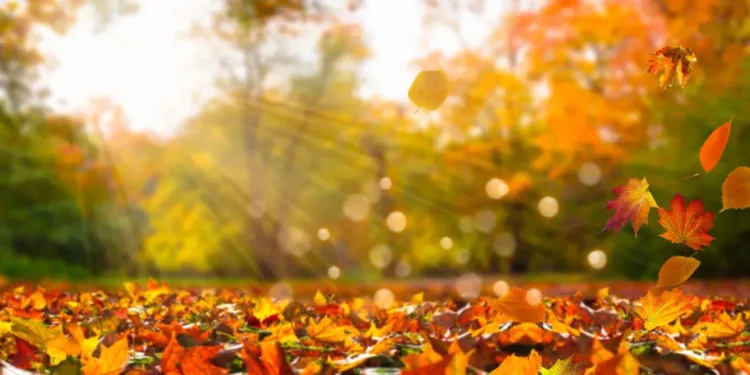 Equinoccio de otoño 2026 en México: ¿A qué hora entra y por qué los días serán más cortos?