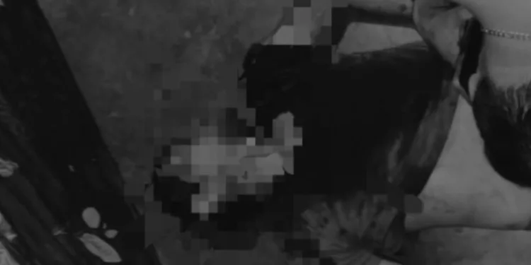 La víctima, identificada legalmente como Antonio Cruz, alias “El Toñito”, se encontraba afuera de su hogar realizando labores de apoyo con su padre.