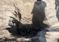 La medida busca frenar la destrucción de nidos y la compactación de la arena en santuarios de relevancia mundial.